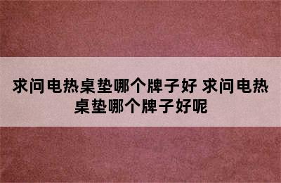 求问电热桌垫哪个牌子好 求问电热桌垫哪个牌子好呢